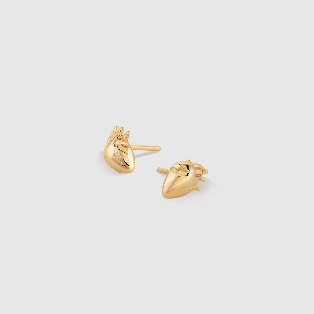 Gold Anatomical Heart Stud Earrings