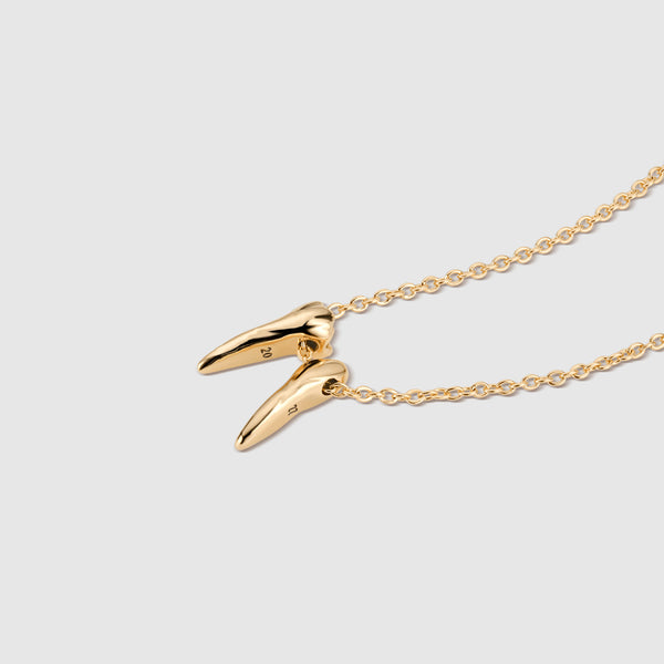 Gold Graduation Year 2027 Tooth Necklace