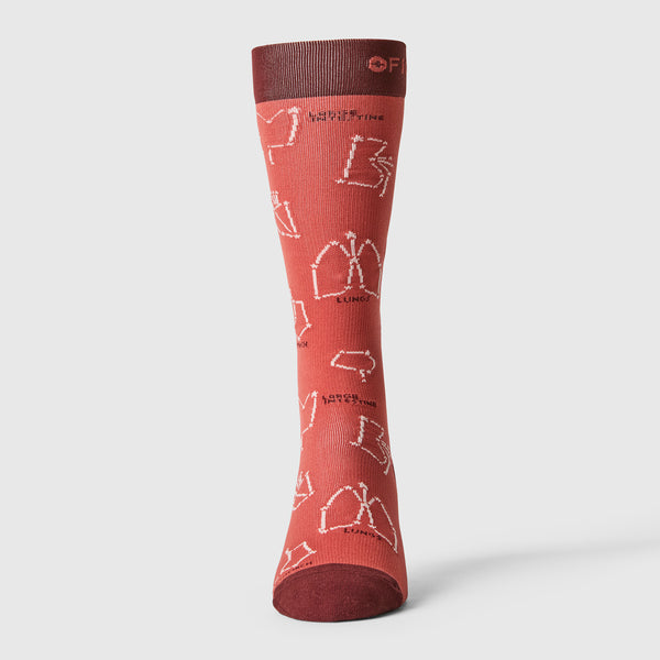 women's Spiced Cider You're Stellar - Compression Socks