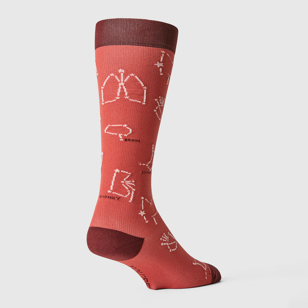 men's Spiced Cider You're Stellar - Compression Socks