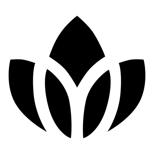 Embroidery Aya Locums - Pants